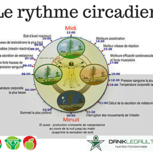 Danik Legault Naturopathe Le Rythme Circadien