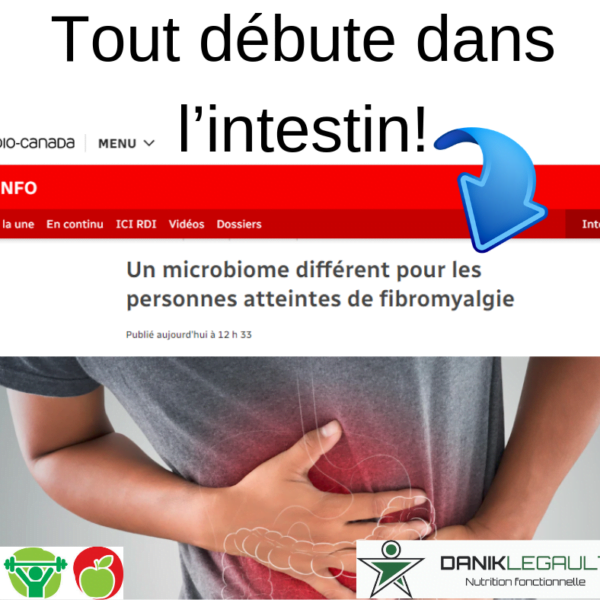 Danik Legault Naturopathe Tout Débute Dans L'intestin Pour Les Personnes Atteintes De Fibromyalgie