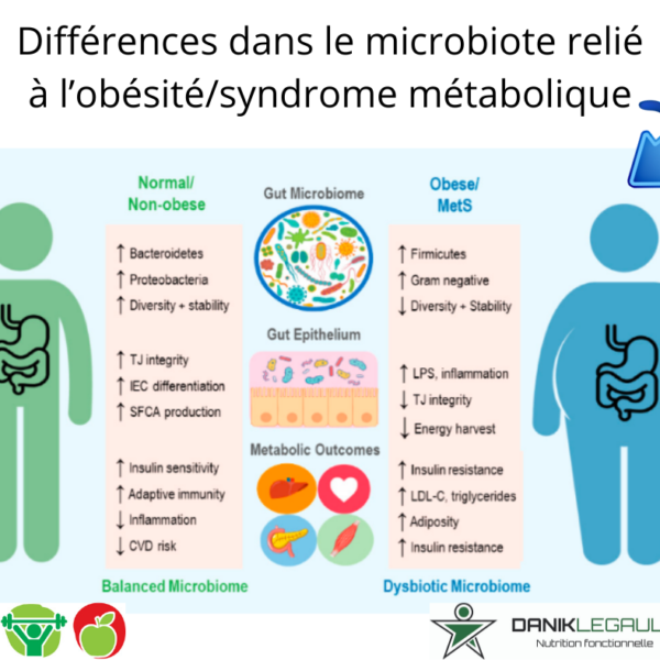 Danik Legault Naturopathe Différences Dans Le Microbiote Relié à L'obésité Syndrome Métabolique