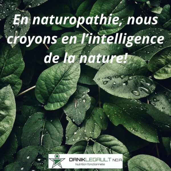 Danik Legault Naturopathe En Naturopathie, Nous Croyons En L'intelligence De La Nature