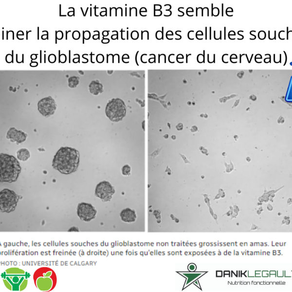 Danik Legault Naturopathe La Vitamine B3 Semble Freiner La Propagation Des Cellules Souches Du Glioblastome