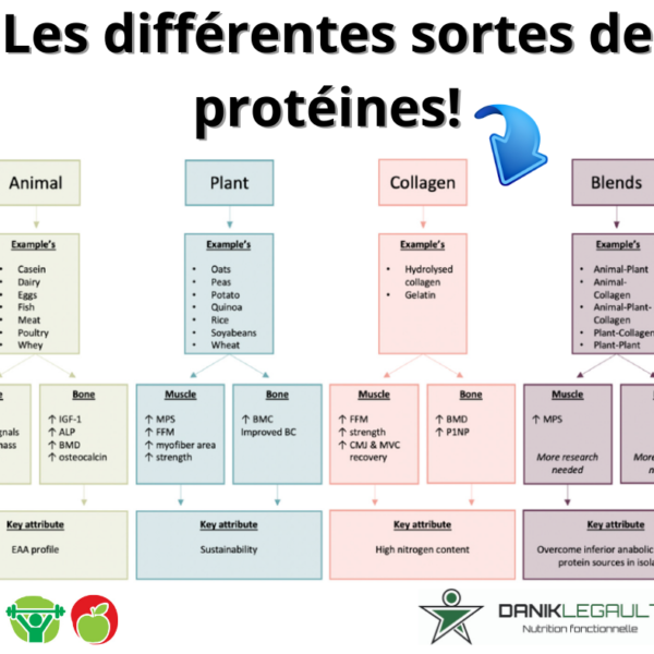 Danik Legault Naturopathe Les Différentes Sortes De Protéines
