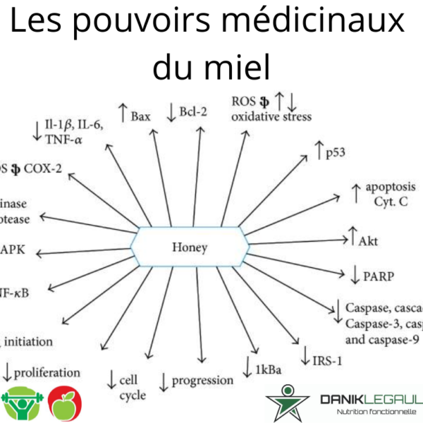 Danik Legault Naturopathe Les Pouvoirs Médicinaux Du Miel