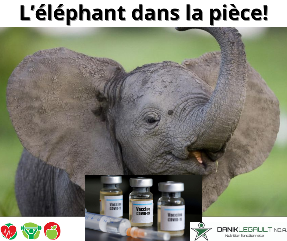 L'éléphant dans la pièce!  Danik Legault