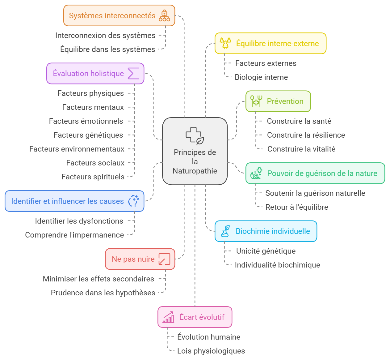 schéma des principes en naturopathie par Danik Legault