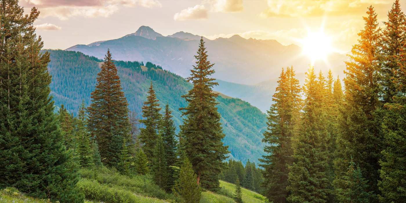 Paysage avec montagnes et sapins, soleil