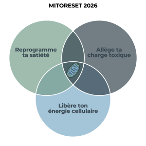 MitoReset 2026